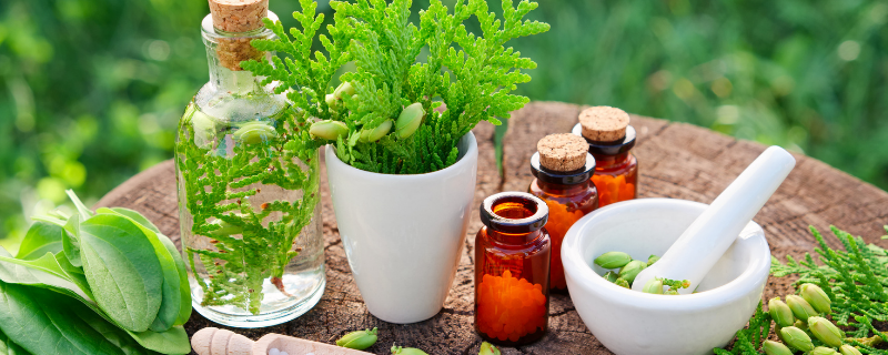 Se former à distance au métier de naturopathe